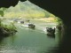 phong nha